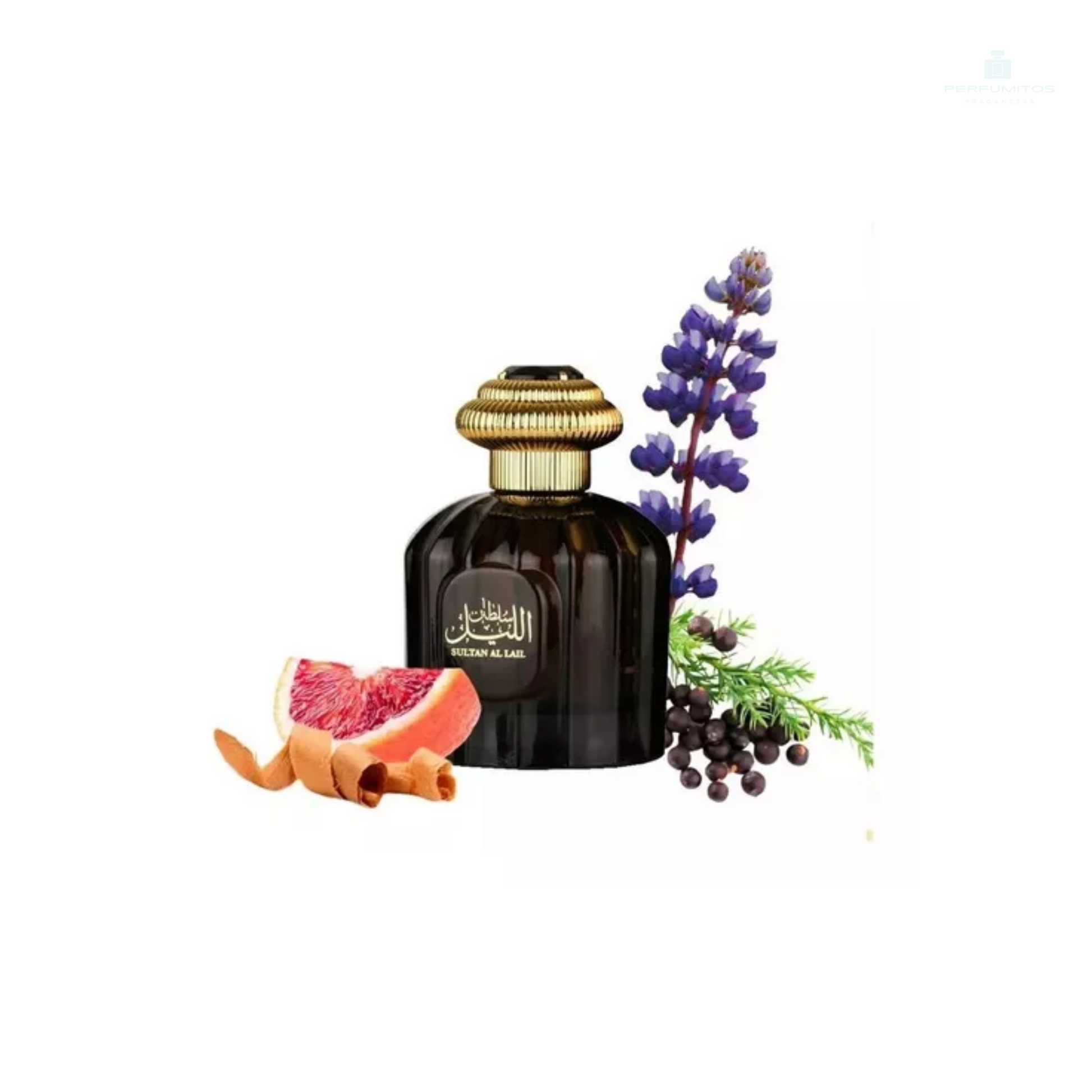 Sultan Al Lail Al Wataniah 100ml edp
