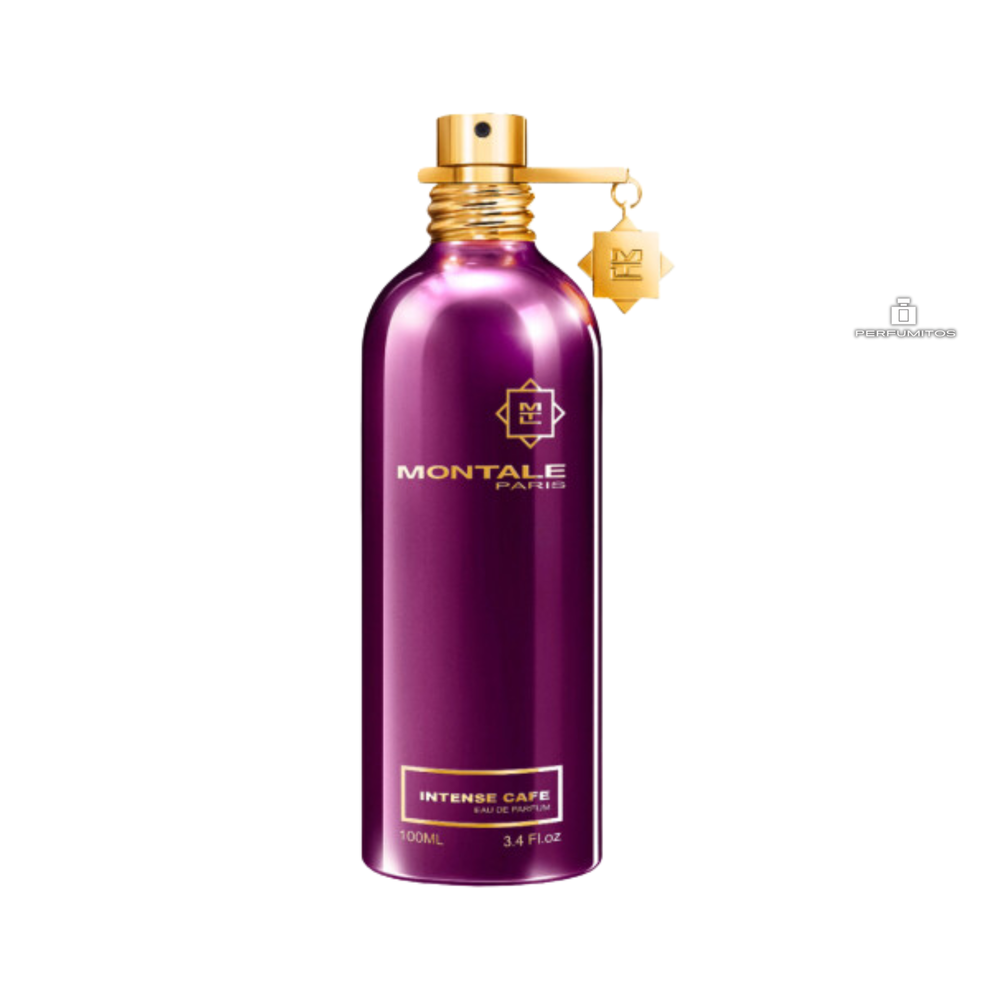 MONTALE PARIS INTENSE CAFE 100ml edp