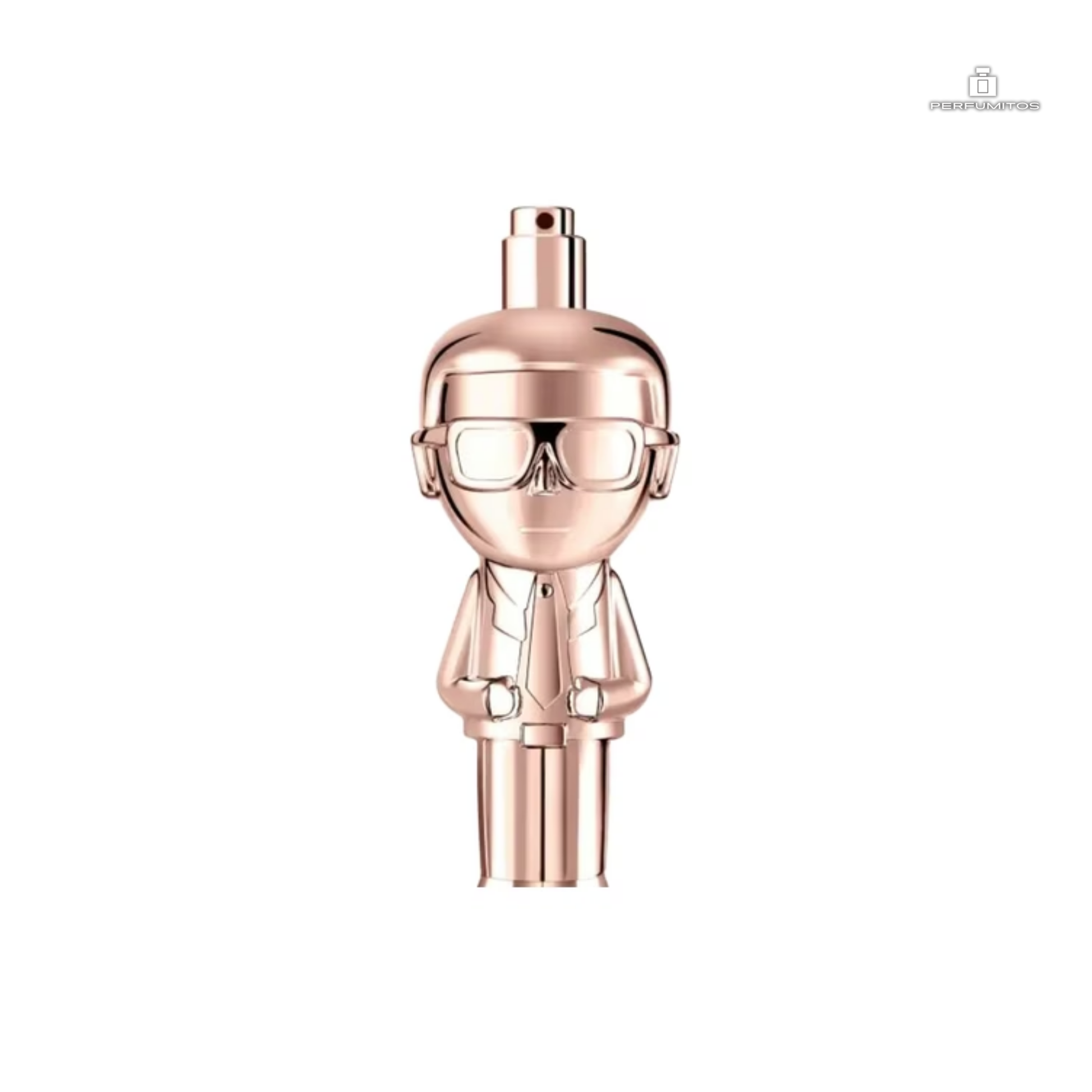 KARL IKONIK EDP 100 ml – Karl Lagerfeld