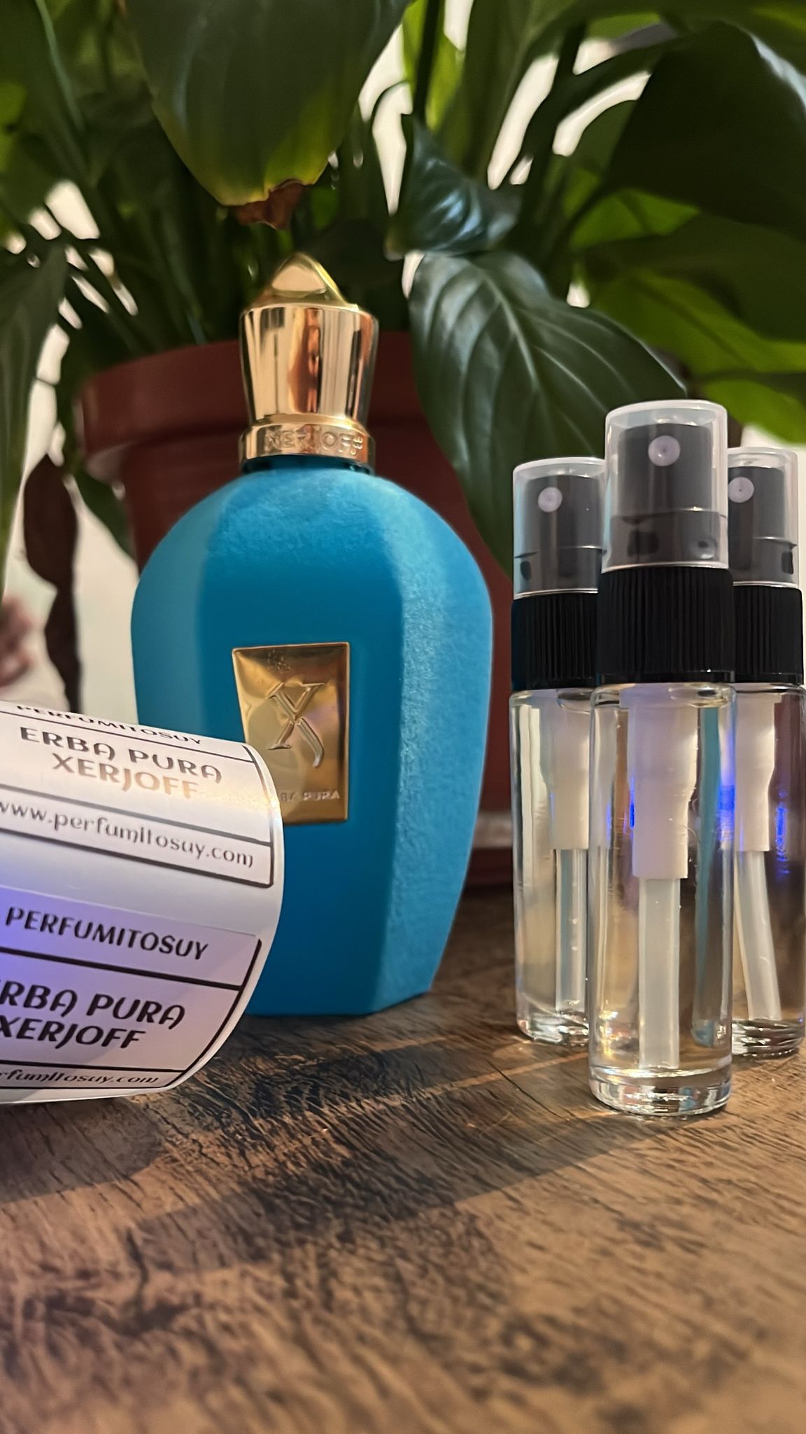 Xerjoff Erba Pura/Decant 10ml