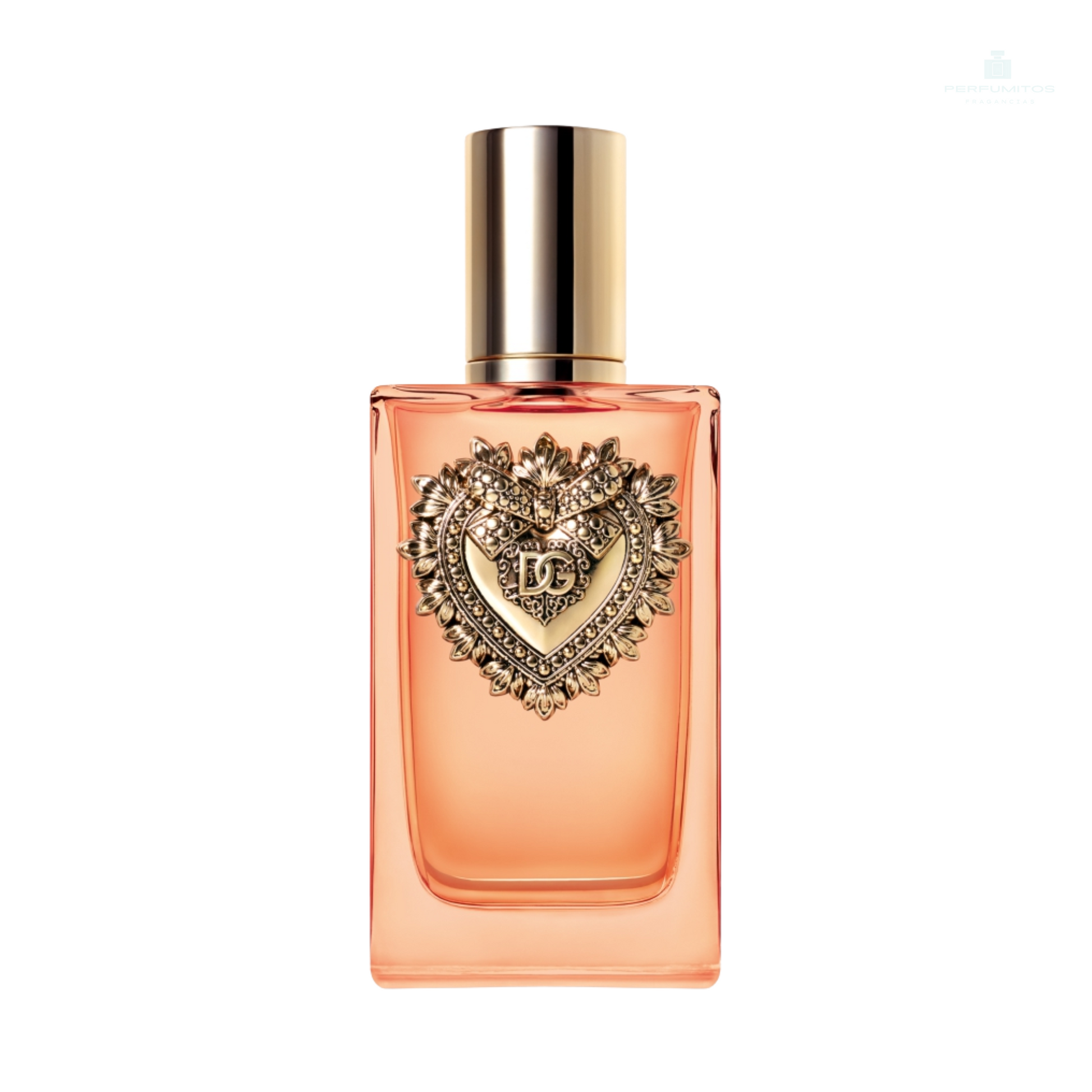 Dolce & Gabbana Devotion Intense EDP 100 ML