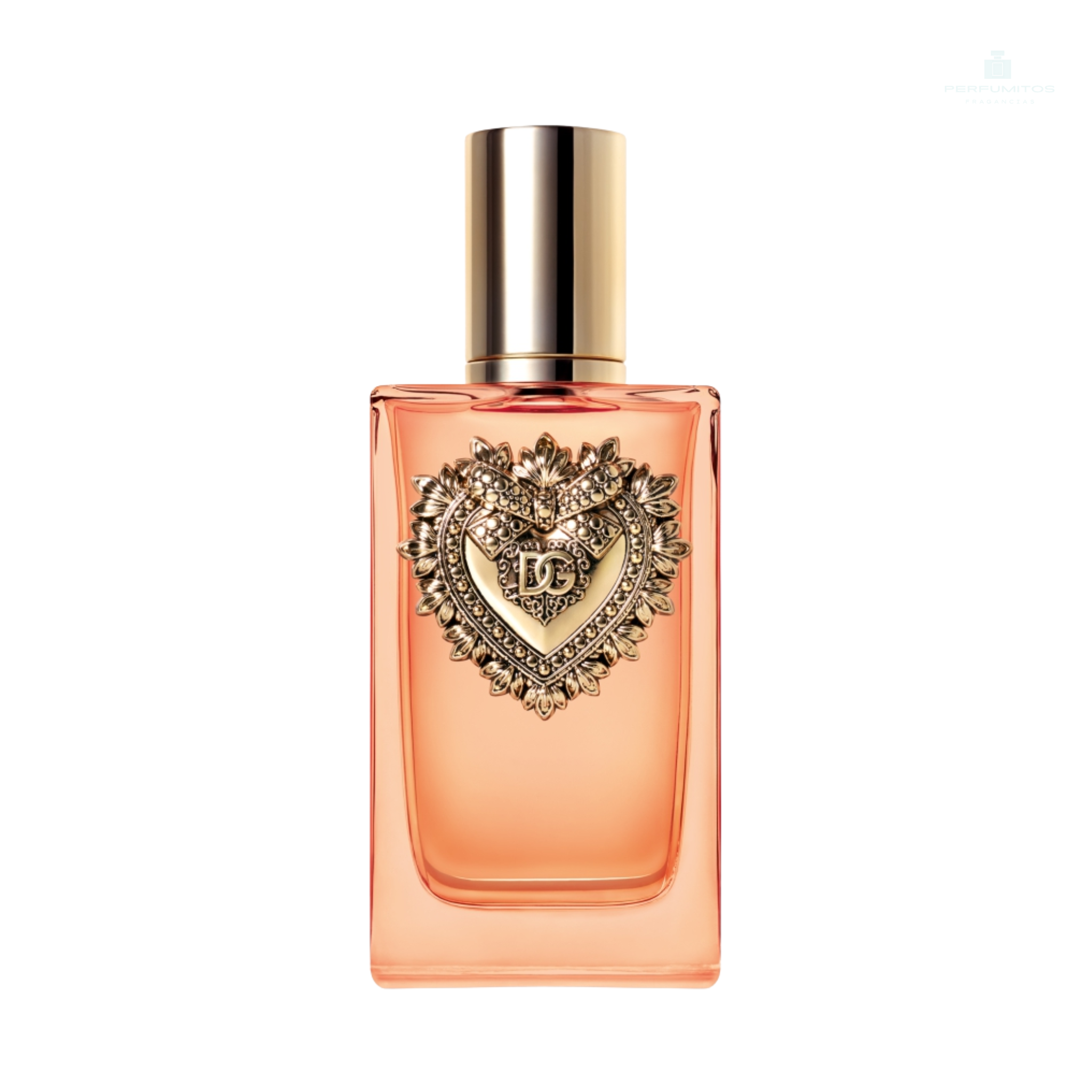 Dolce & Gabbana Devotion Intense EDP 100 ML
